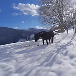 Bauernhuette Niedermaisgut Eben Im Pongau