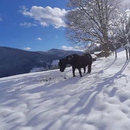 Bauernhuette Niedermaisgut Eben Im Pongau