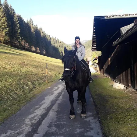 Tatil Evi Bauernhuette Niedermaisgut