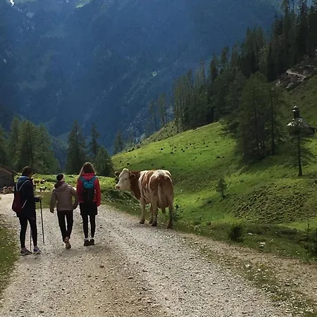 Bauernhuette Niedermaisgut * Eben Im Pongau