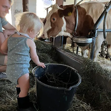 Bauernhuette Niedermaisgut Eben Im Pongau