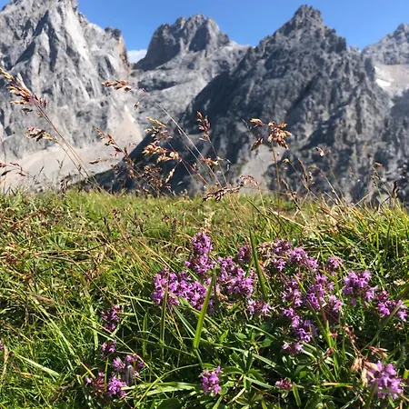 Bauernhuette Niedermaisgut * Eben Im Pongau