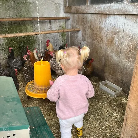 Bauernhuette Niedermaisgut