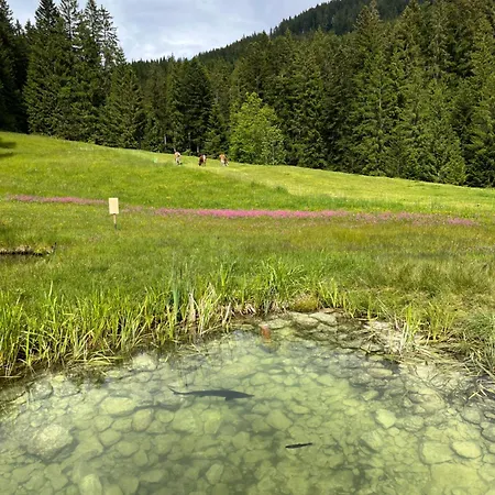 Tatil Evi Bauernhuette Niedermaisgut *