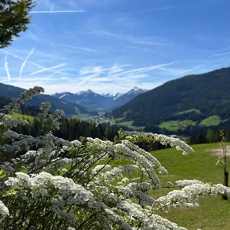 Bauernhütte Niedermaisgut