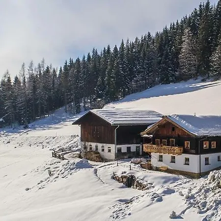 Bauernhuette Niedermaisgut Tatil Evi