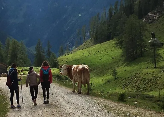 Bauernhuette Niedermaisgut * エーベン・イム・ポンガウ