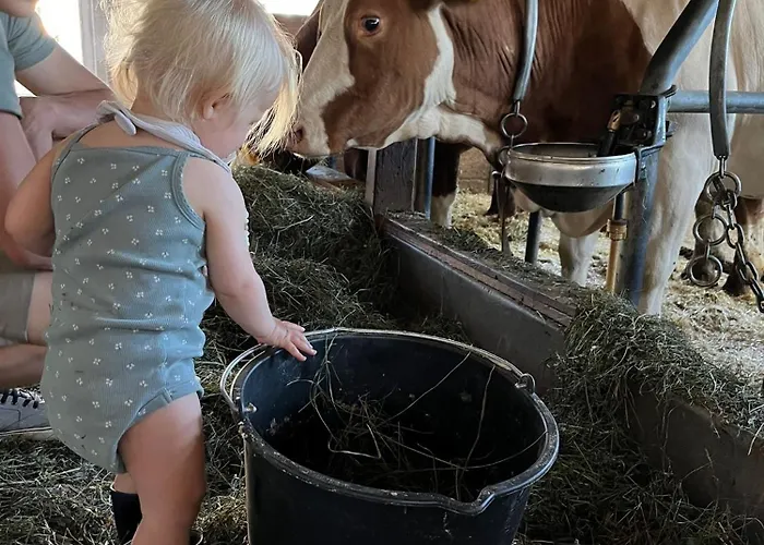 Bauernhuette Niedermaisgut エーベン・イム・ポンガウ