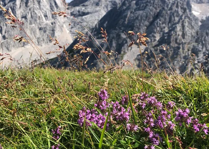 Bauernhuette Niedermaisgut * エーベン・イム・ポンガウ